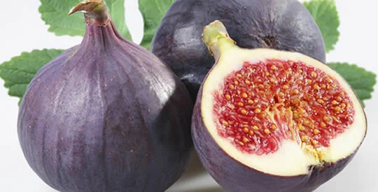 Fichi frutto eccellente