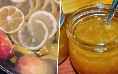 Marmellata mela limone cannella senza zucchero
