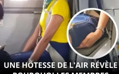 Nb2 1210 20260921 141723 6dc29d38 agm.jpg (1)
