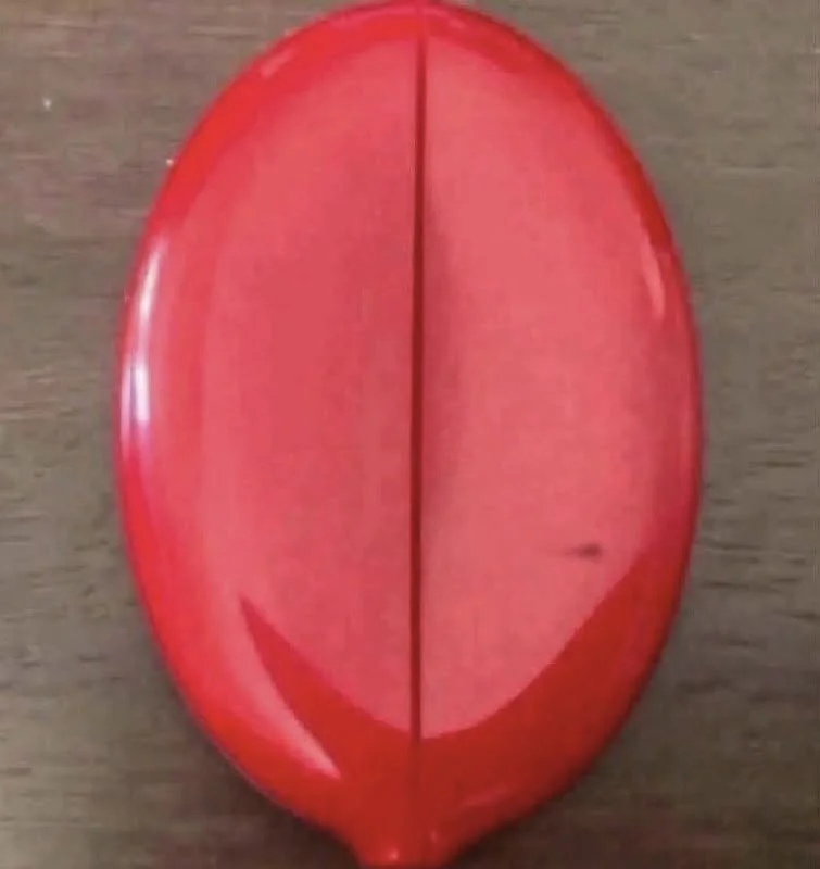 846120079 1457965289572841 6385651380700794157 n