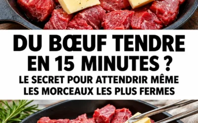 Bœuf tendre en 15 minutes